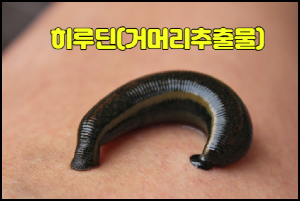 남자 성기 확대에 좋고 왕자크림 성분으로 유명한 히루딘