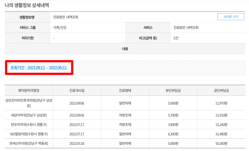 조회기간 12개월간 진료내역 조회 결과