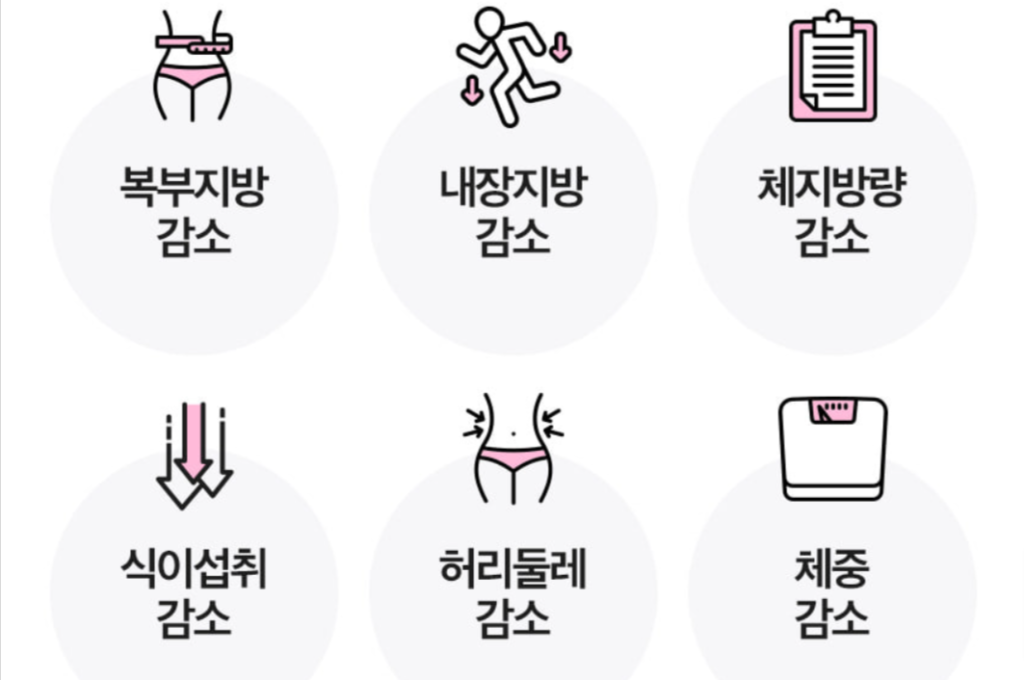 푸응 다이어트 효과