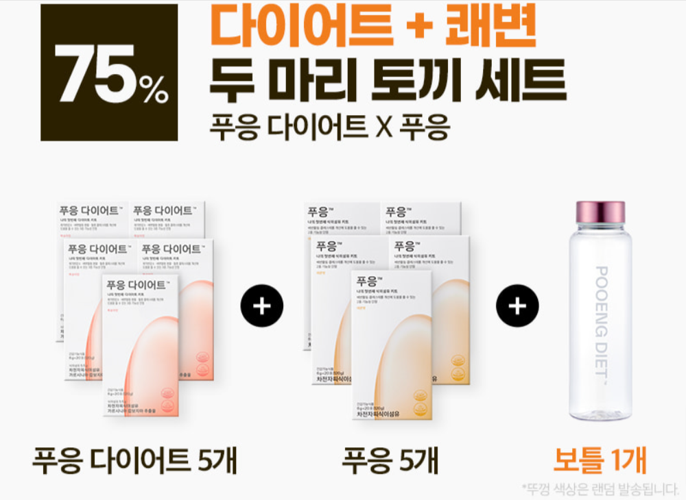 필자가 구매한 푸응 다이어트 제품
