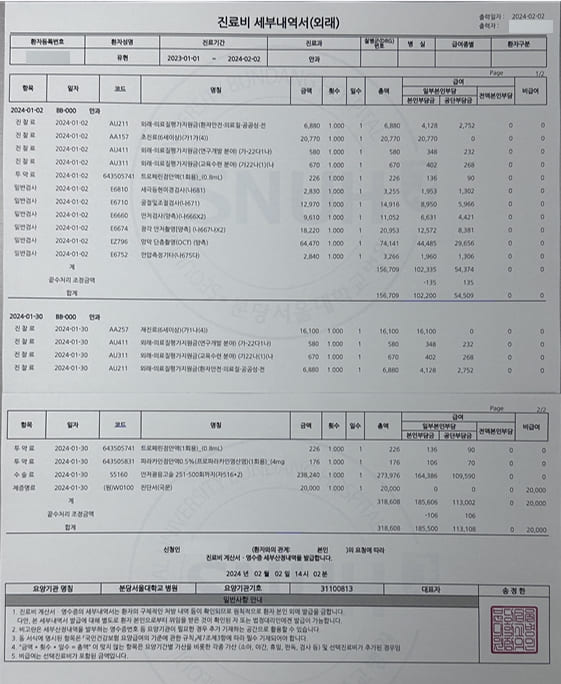 진료비 세부내역서 인터넷 무료 발급